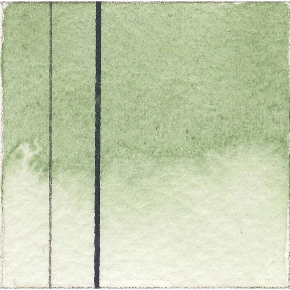 Qor Modern Watercolor 11ml Series 1 Terre Verte